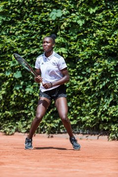 Bild 266 - BL2 THC von Horn und Hamm - Der Club an der Alster : Ergebnis: 0:9